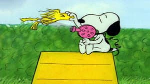 It's a Mystery, Charlie Brown — foto 2