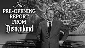 The Pre-Opening Report from Disneyland — foto 1