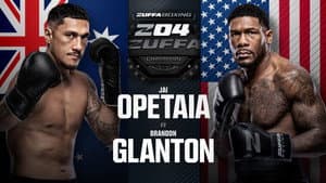 Zuffa Boxing 04 — foto 1