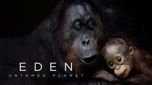 Eden: Untamed Planet — foto 6