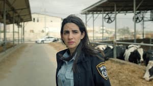 Episodio 4