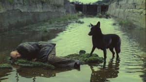 Stalker — foto 4