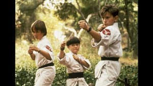 3 Ninjas — foto 9