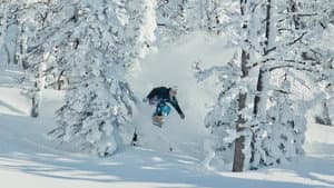 Art of Flight: The Series — foto 1