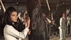 Black Beauty — foto 1