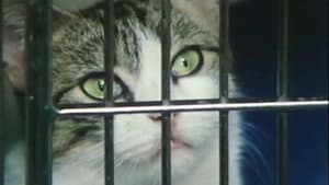 Parting Shots from Animals — foto 1