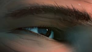 Anima — foto 3