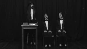 La Femme Orchestre — foto 4