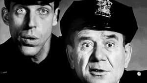 Car 54, Where Are You? — foto 4