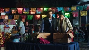 Diez de Mayo — foto 11