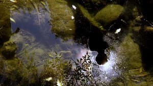 Reflejos del Cielo — foto 2