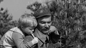 Ne joči, Peter — foto 2