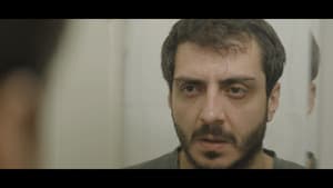پورتال P — foto 5