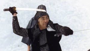 御金蔵破り3 家康の首 — foto 5