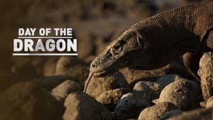 Day of the Dragon — foto 1