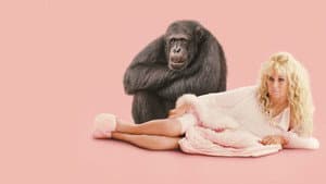 Chimp Crazy — foto 3