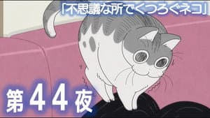Episodio 44