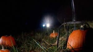 Revenge of the Great Pumpkin — foto 1