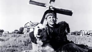 A Dog of Flanders — foto 1