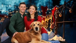 Tails of Christmas — foto 1