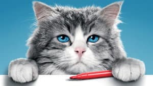 Mi papá es un gato — foto 4