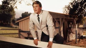 The Horse in the Gray Flannel Suit — foto 6