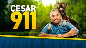 Cesar 911 — foto 3