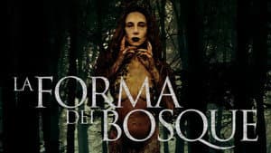 La forma del bosque — foto 1
