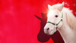 A Unicorn for Christmas — foto 2