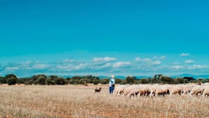 Meseta — foto 1