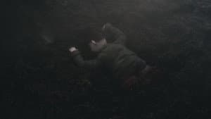 Otto — foto 3