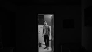 Lost In The Shadows — foto 3