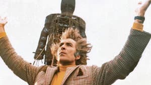 El hombre de mimbre — foto 8