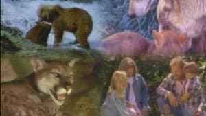 Marty Stouffer's Wild America — foto 1