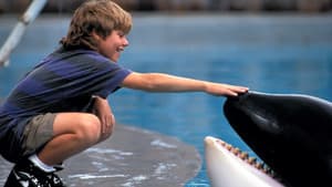 Liberen A Willy — foto 7