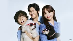 初恋DOGs — foto 3