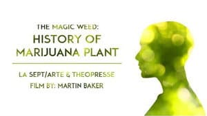 The Magic Weed: History of Marijuana Plant — foto 1