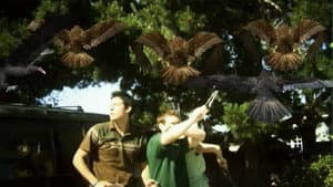 Birdemic: Conmoción y terror — foto 4