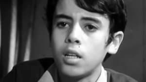 أطفال نوفمبر — foto 4