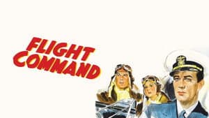 Flight Command — foto 8