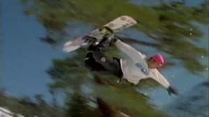 Totally Board — foto 2
