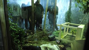 Zombie Night — foto 3