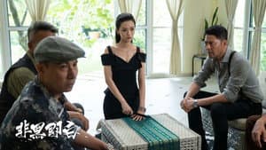 非黑即白 — foto 1