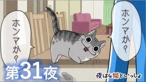 Episodio 31