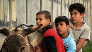 ولد، جدار وحمار — foto 1