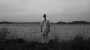 Förmänskligas — foto 1