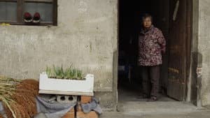 方绣英 — foto 5