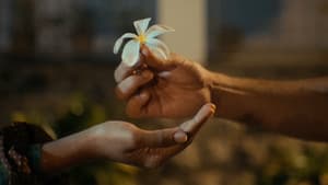 Frangipani: The Short Film — foto 2