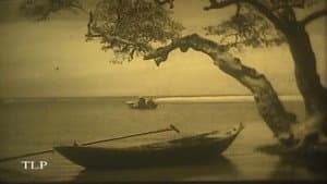 Con Thú Tật Nguyền — foto 2