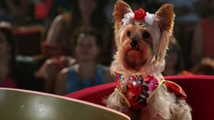 Pup Star: Gira mundial — foto 2